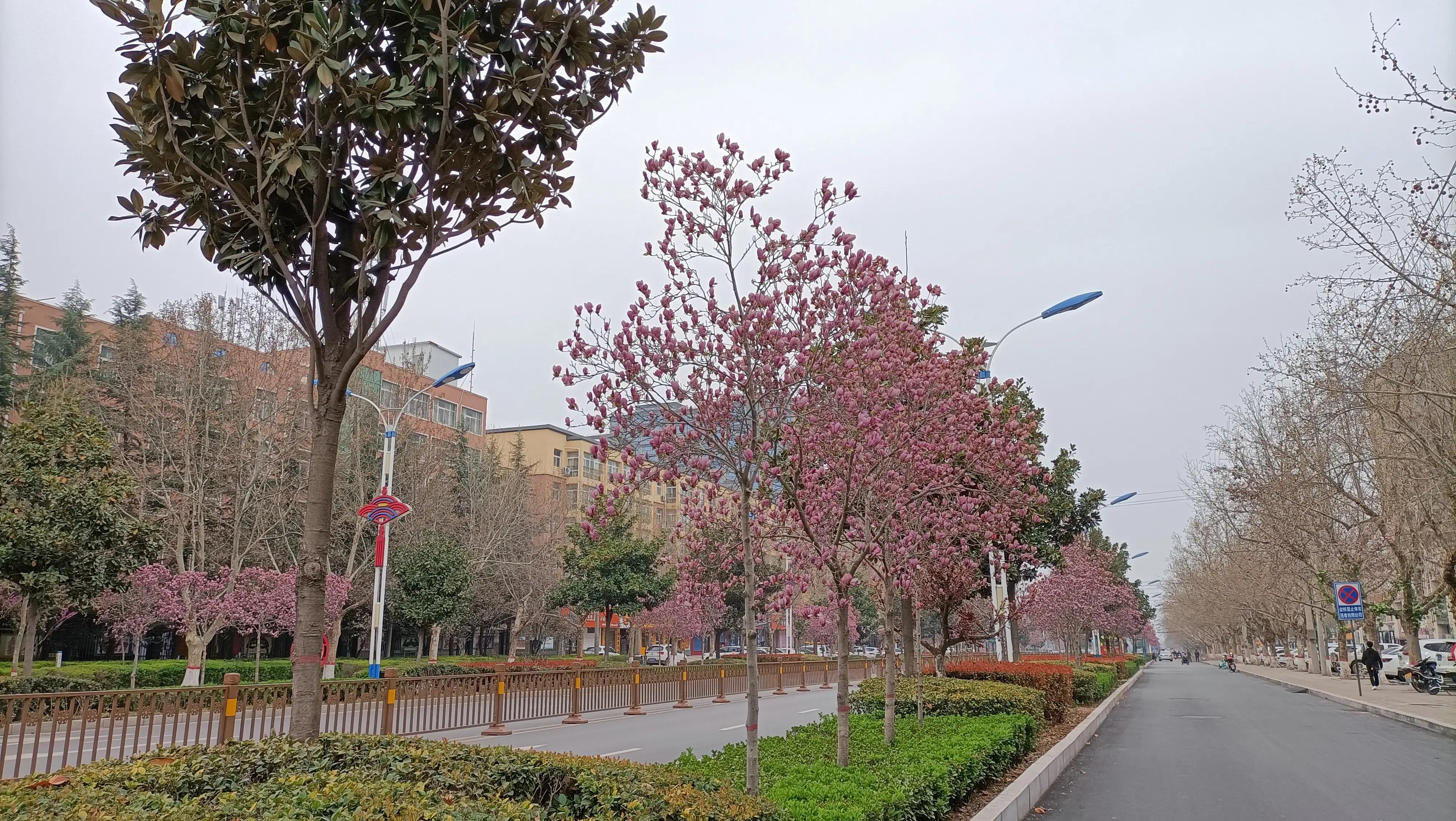 采他山课改之石，琢自身发展之玉——在外语学校跟岗培训学习活动