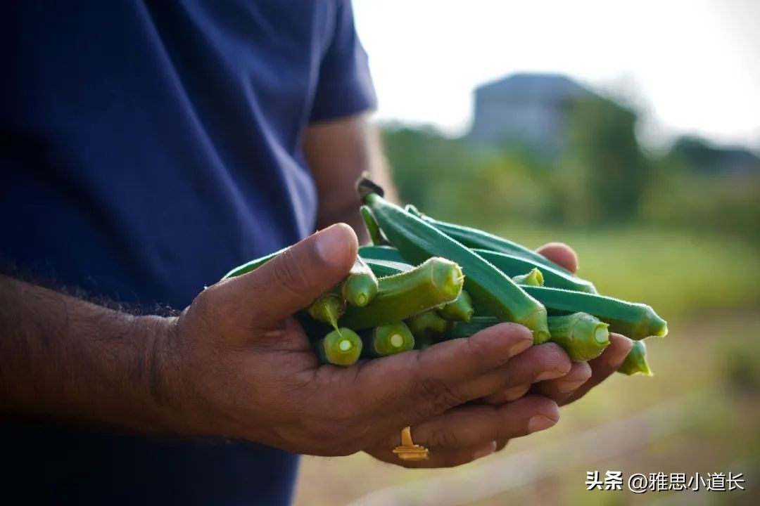 手的英语怎么说（脚的英语怎么说）-第2张图片-科灵网