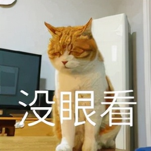 辣眼睛！盘点堪称“装修鬼才”的奇葩装修，简直越看越上头