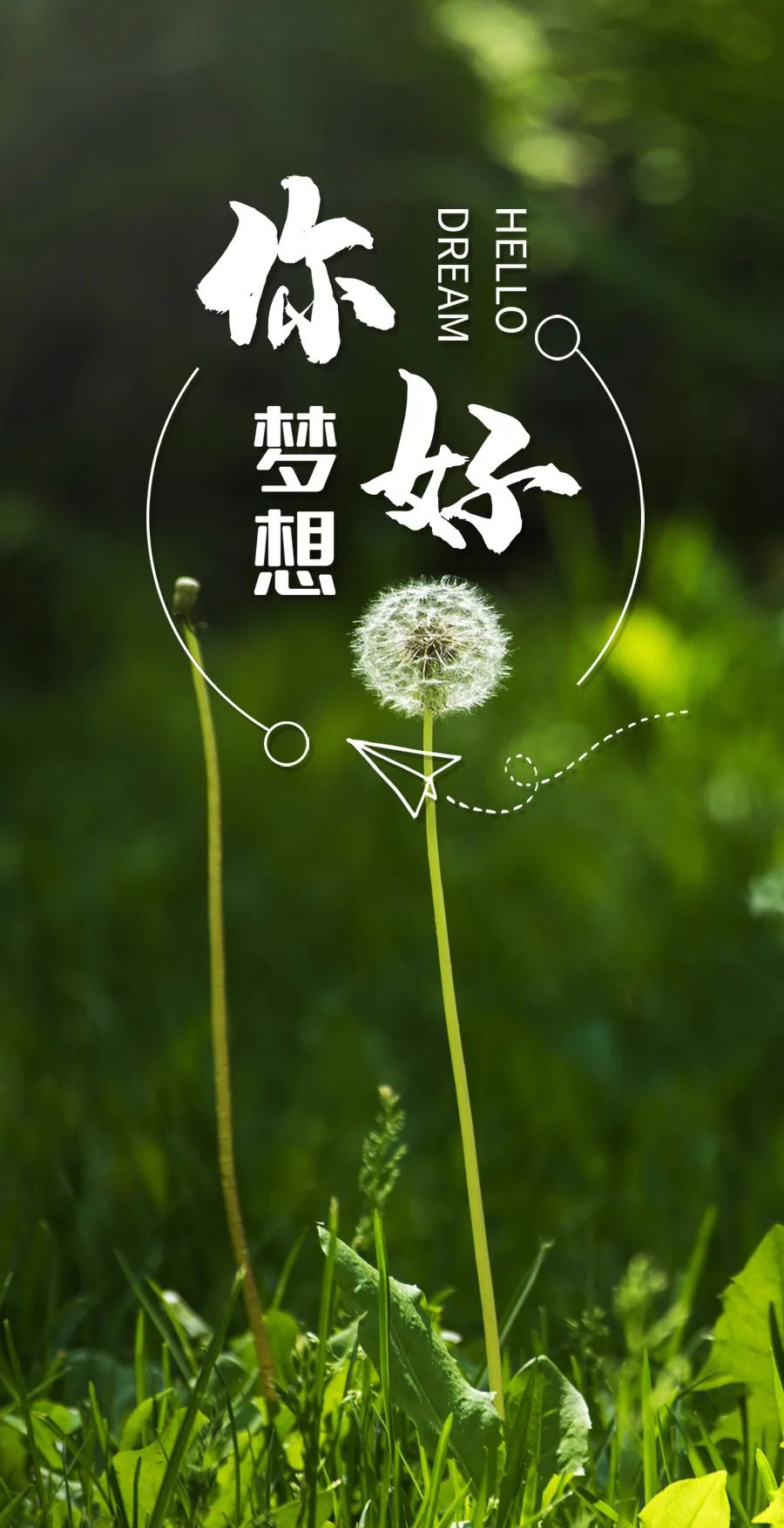 03.12」早安心语,正能量短句子,植树节唯美早安文案图片