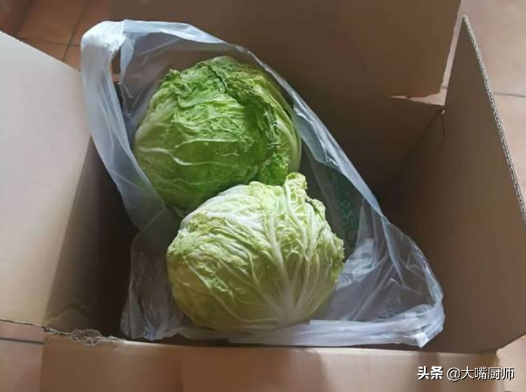 大白菜可以放冰箱里保存吗（大白菜可以放冷藏吗）-第8张图片-科灵网