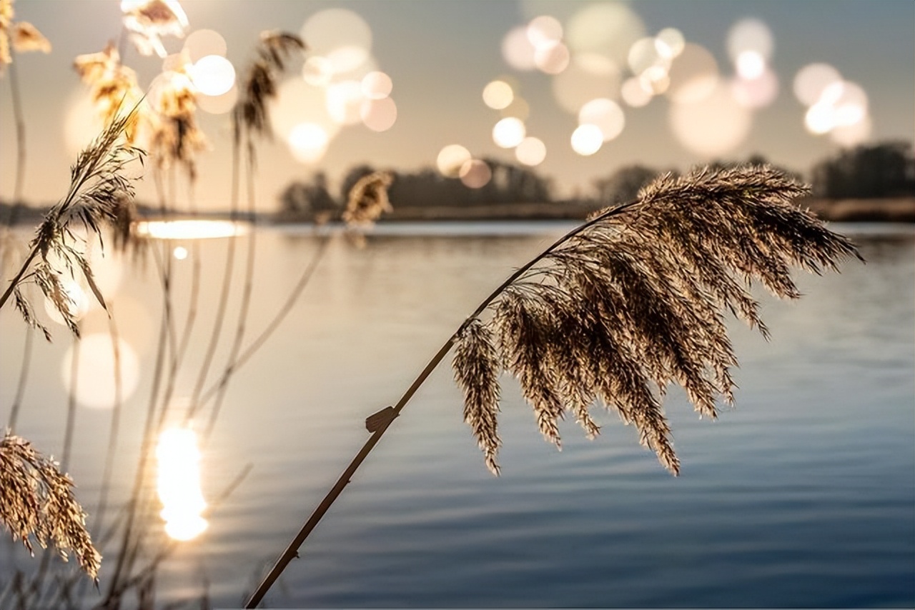 奔五的70后，感悟最深的五句话，送给你