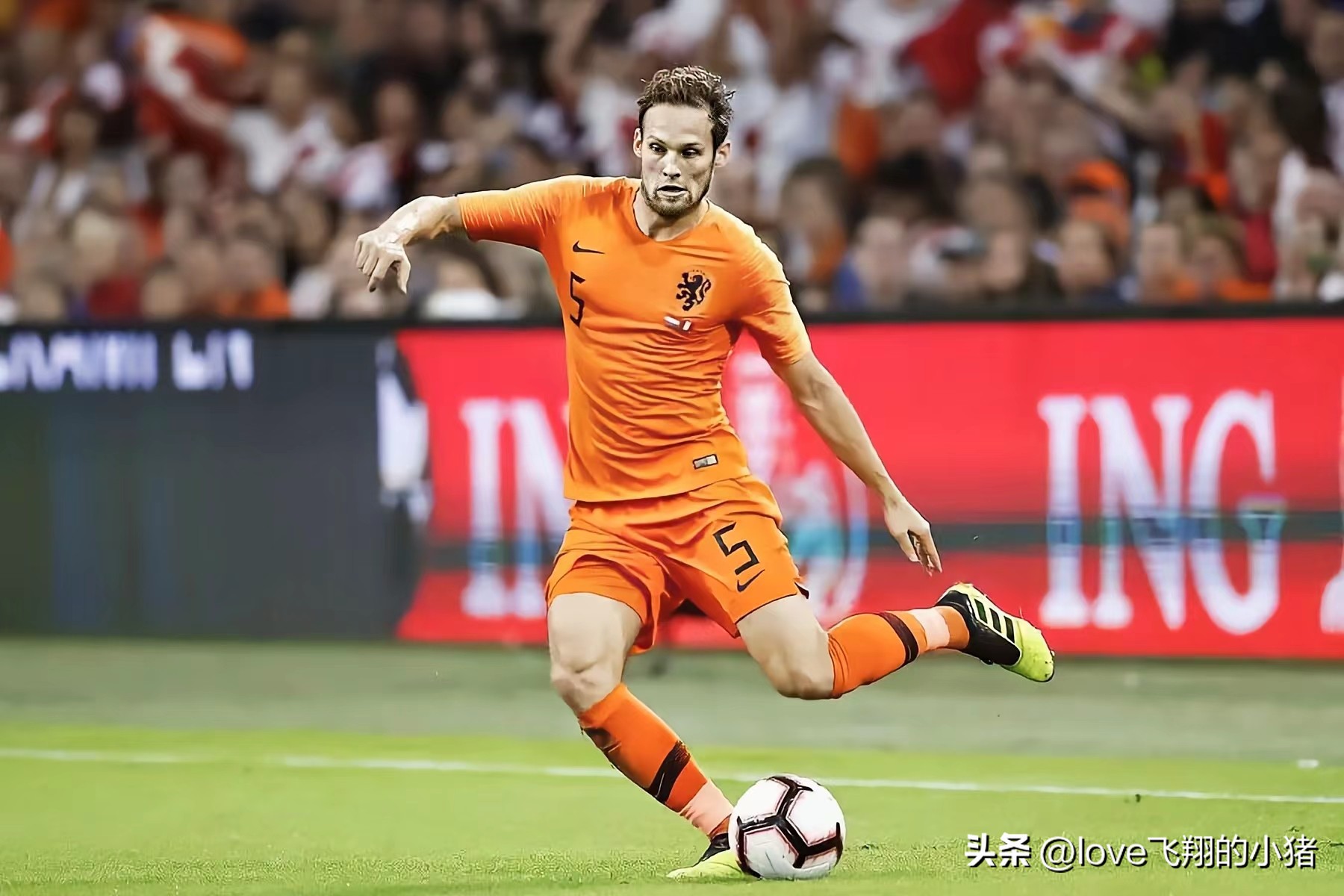 2022世界杯荷兰阵容（荷兰队2022世界杯阵容首发11人主力预测）