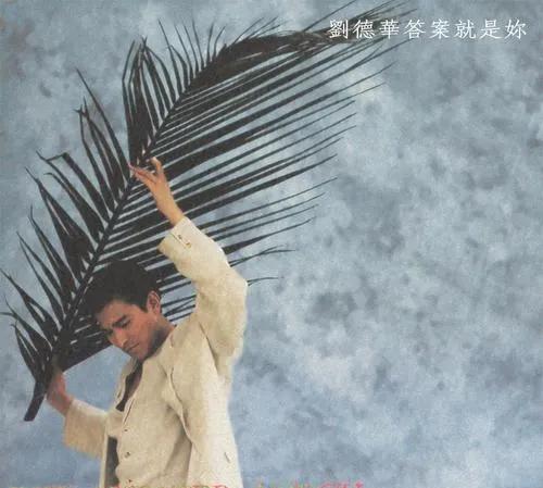 有没有一首华纳唱片的歌曲能撩动您的心弦呢？