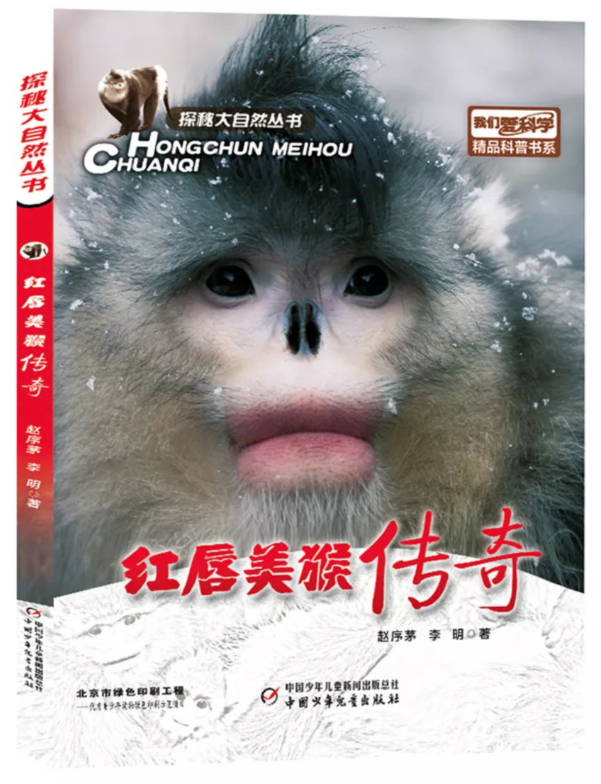 孩子读书