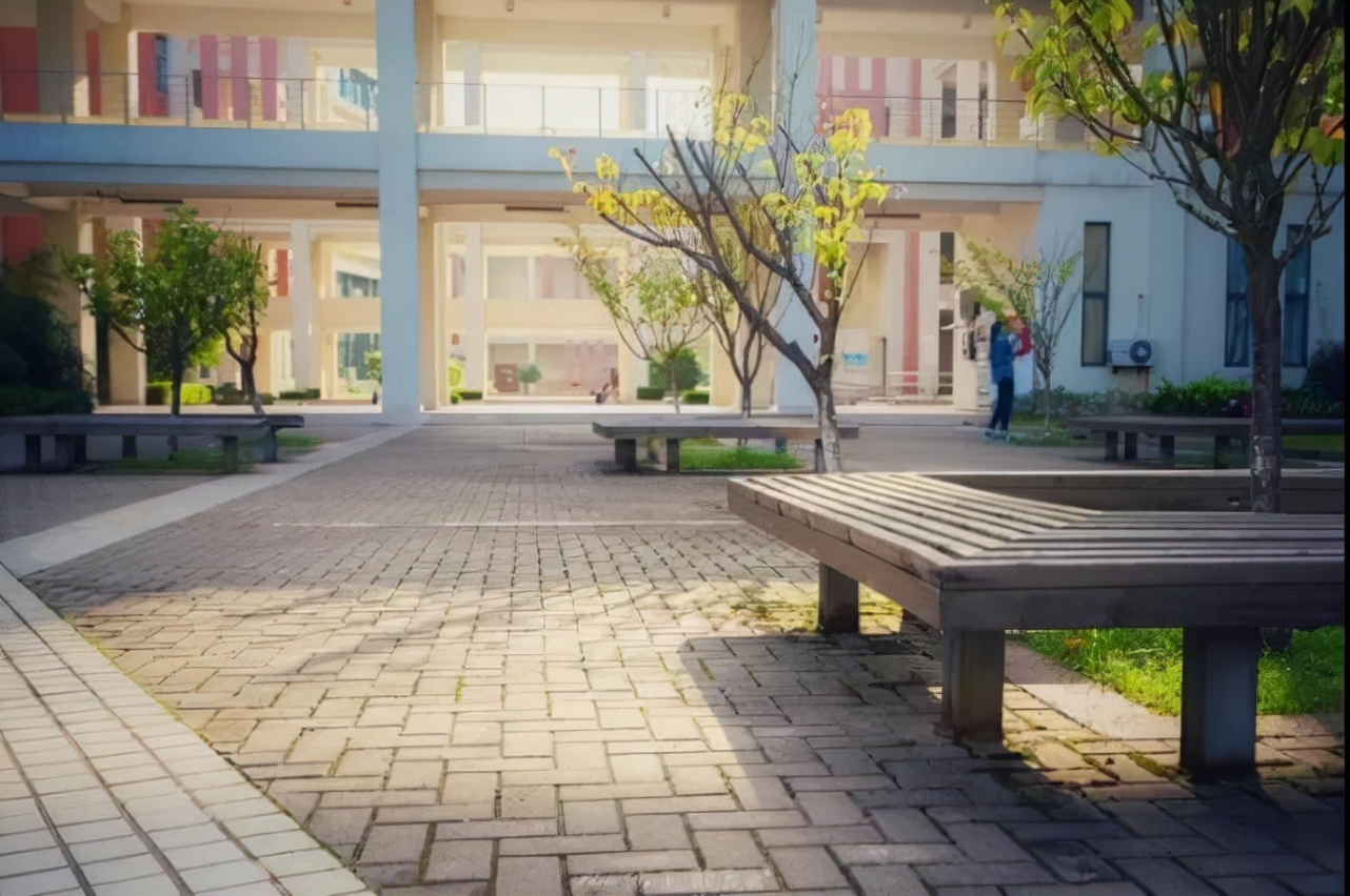 拥有70年历史！上海这所高校：种下最“特殊”的三棵树，价值连城！