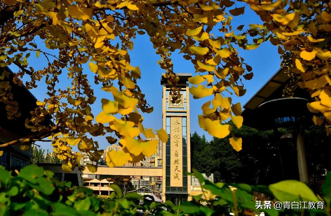 秋冬美图来袭① | 为你喜欢的校园美景投票吧