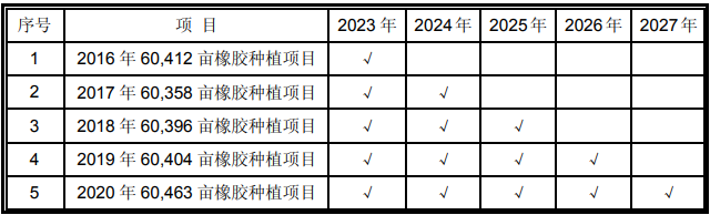 海南橡胶-特种胶园更新种植项目可行性研究报告