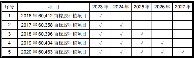 海南橡膠-特種膠園更新種植項目可行性研究報告