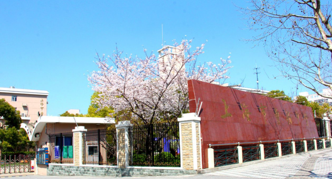 揭秘！上海15所“特色普通高中”，究竟“特”在哪里？