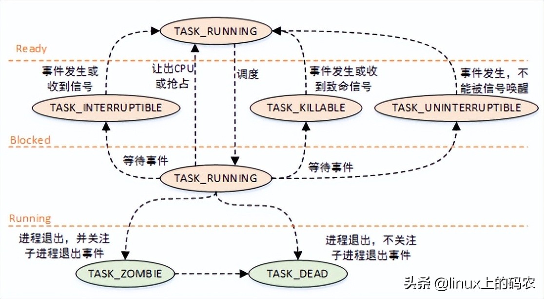 深入剖析Linux进程在内核眼中到底是什么样子的？