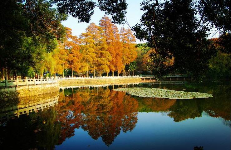 中国前十的大学（国内十大最美校园名单出炉）