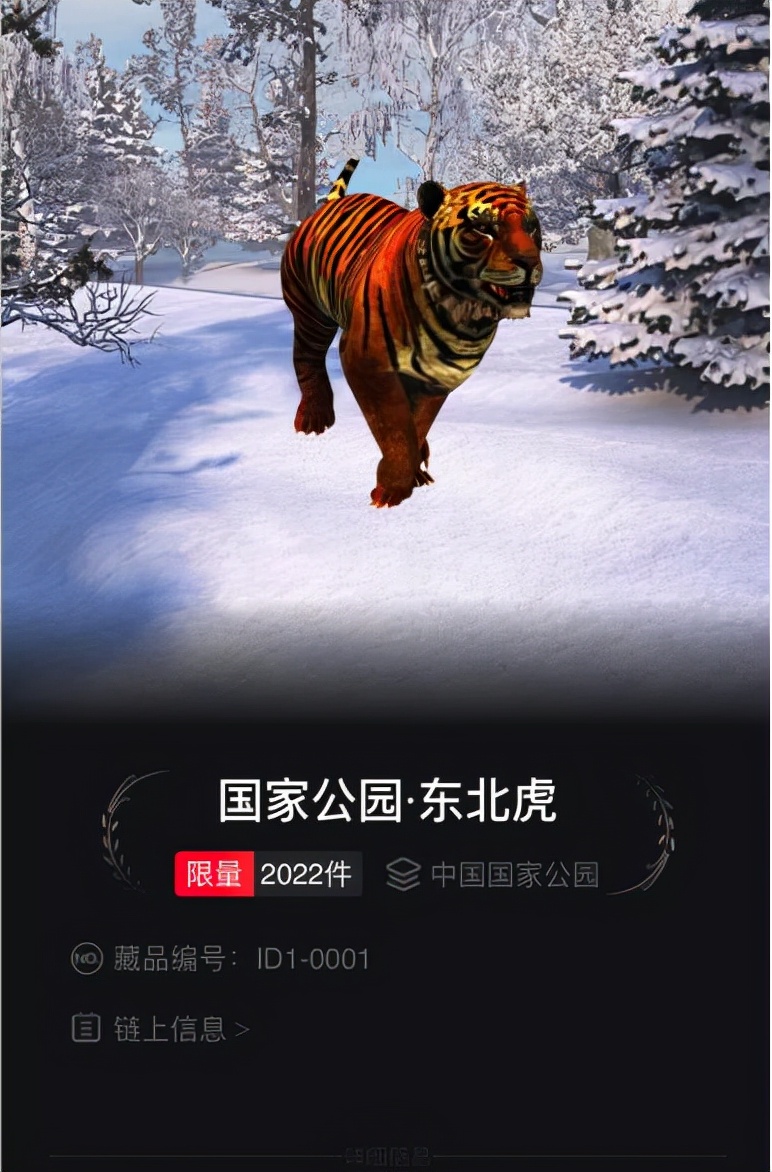 万物皆可以NFT？