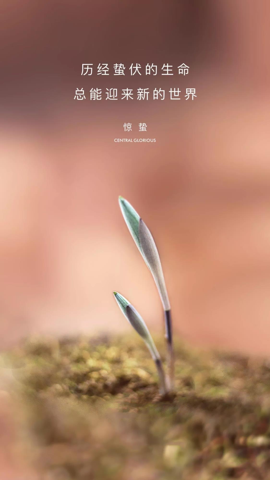 微雨众卉新，当春起蜇虫—惊蛰，春雷隐隐万物动，飞龙在天正觉醒
