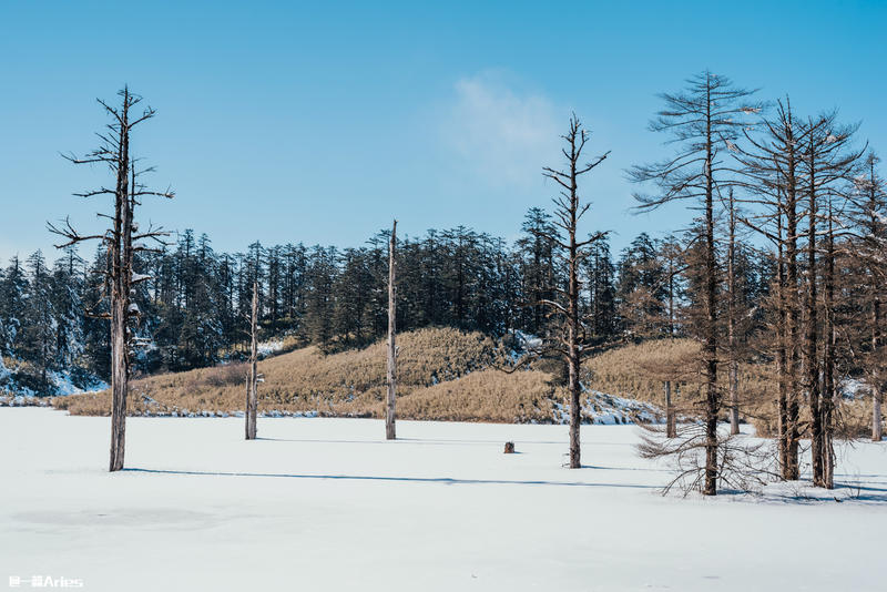 成都周边游 | 川西的雪国秘境，我与瓦屋山的纯白约定