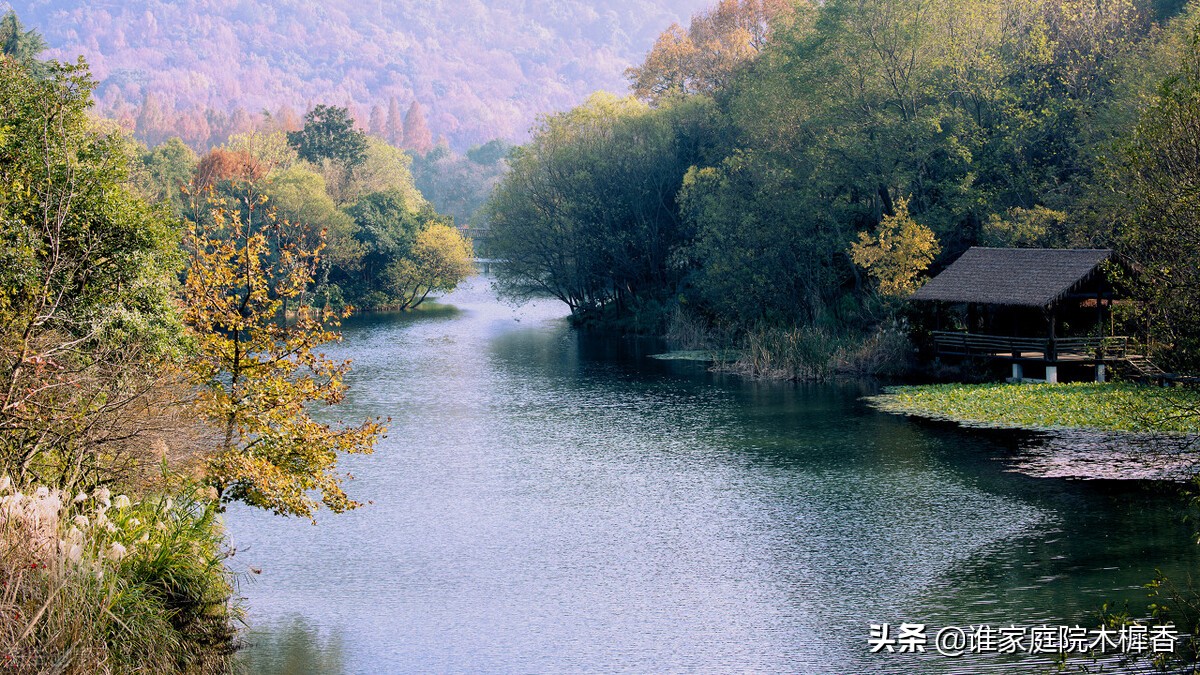 忆江南是谁写的（忆江南是谁写的一首什么诗）-悠嘻资讯网