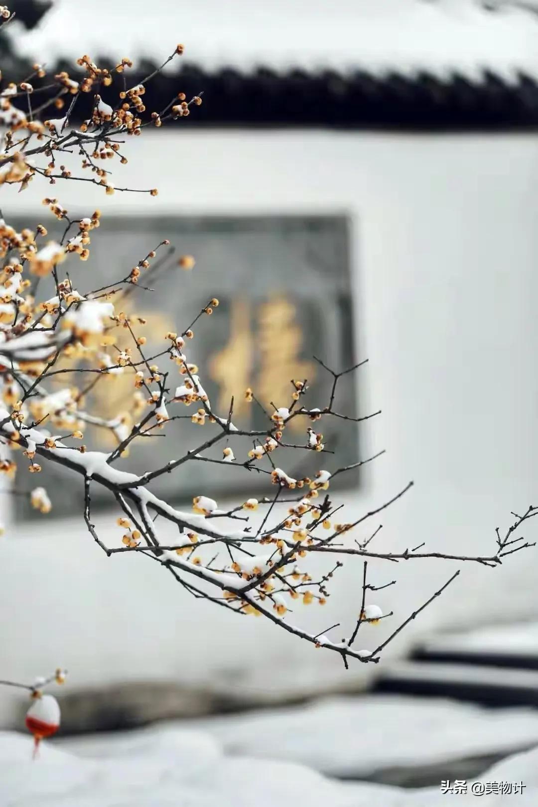 愿走遍人间所有的路，所遇皆是温柔