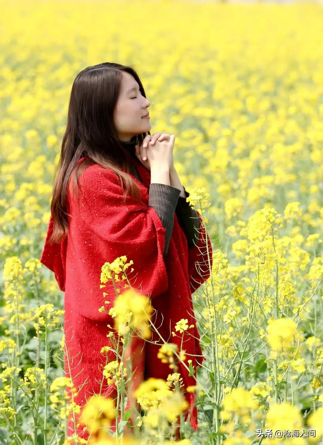 诗词赏读丨咏油菜花诗词12首