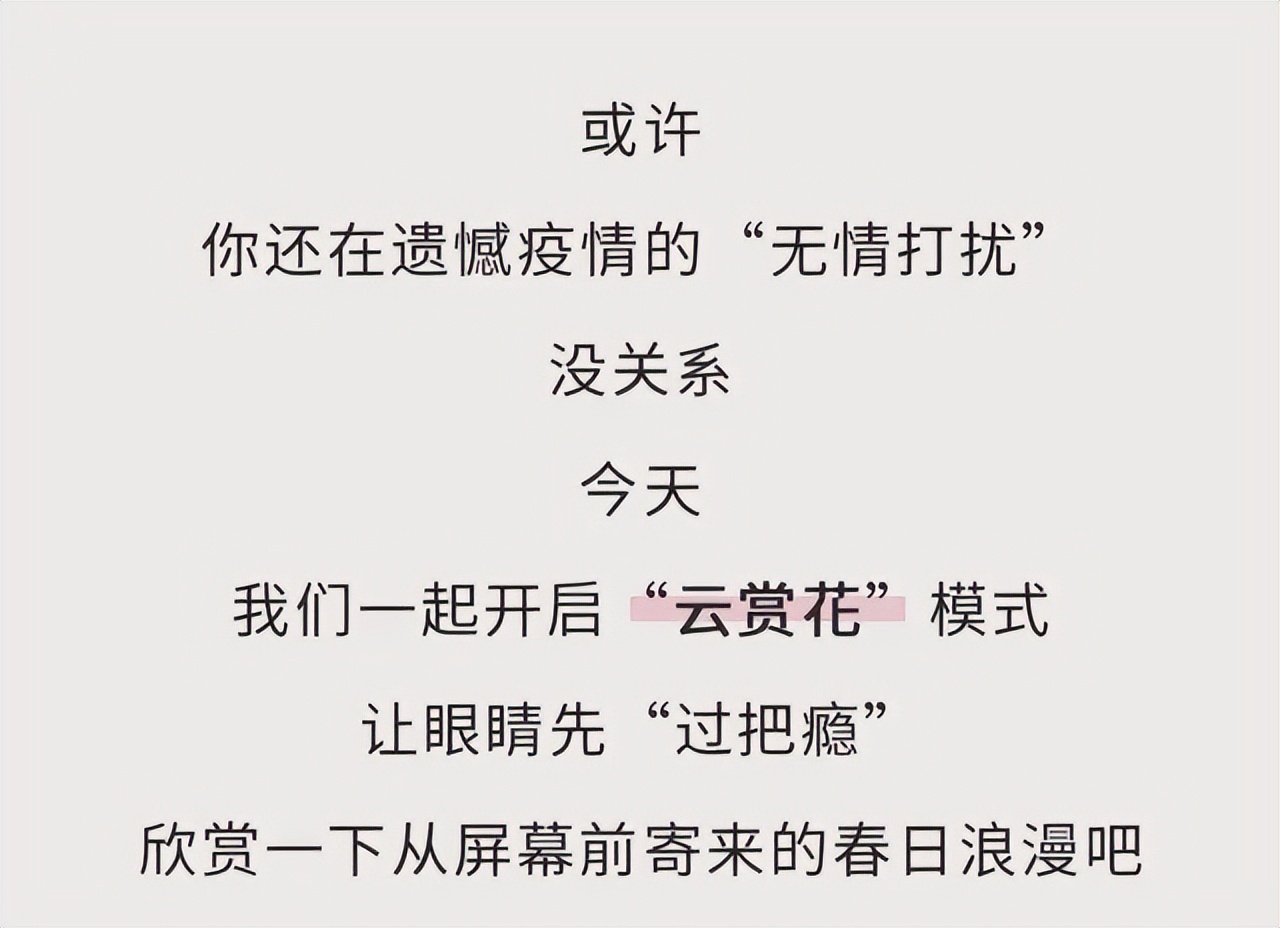 春色莫辜负——疫情下的浪漫，咱们一起“云赏花”