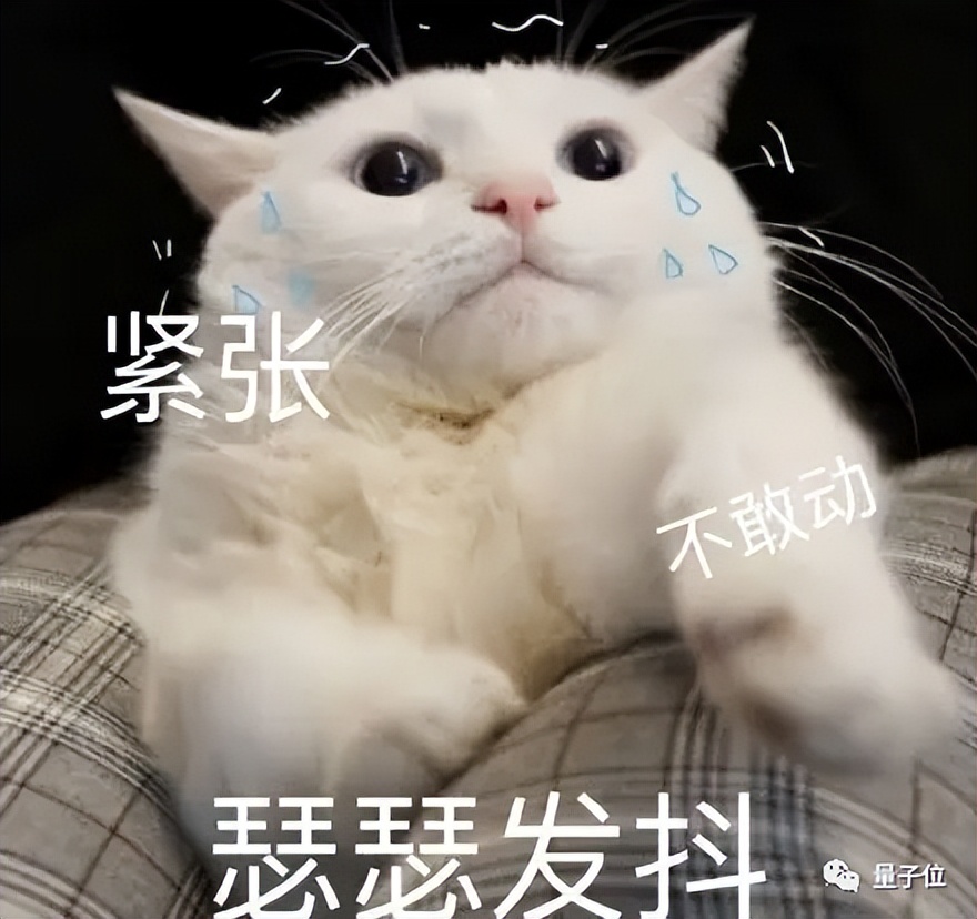 Linux內(nèi)核將引入Rust,Linus:以防此事搞砸我又發(fā)脾氣，先道個(gè)歉
