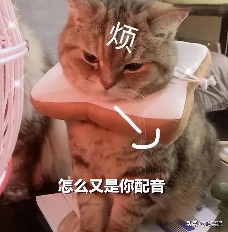 Angelababy《爱情应该有的样子》，演技赶超《梦华录》刘亦菲？