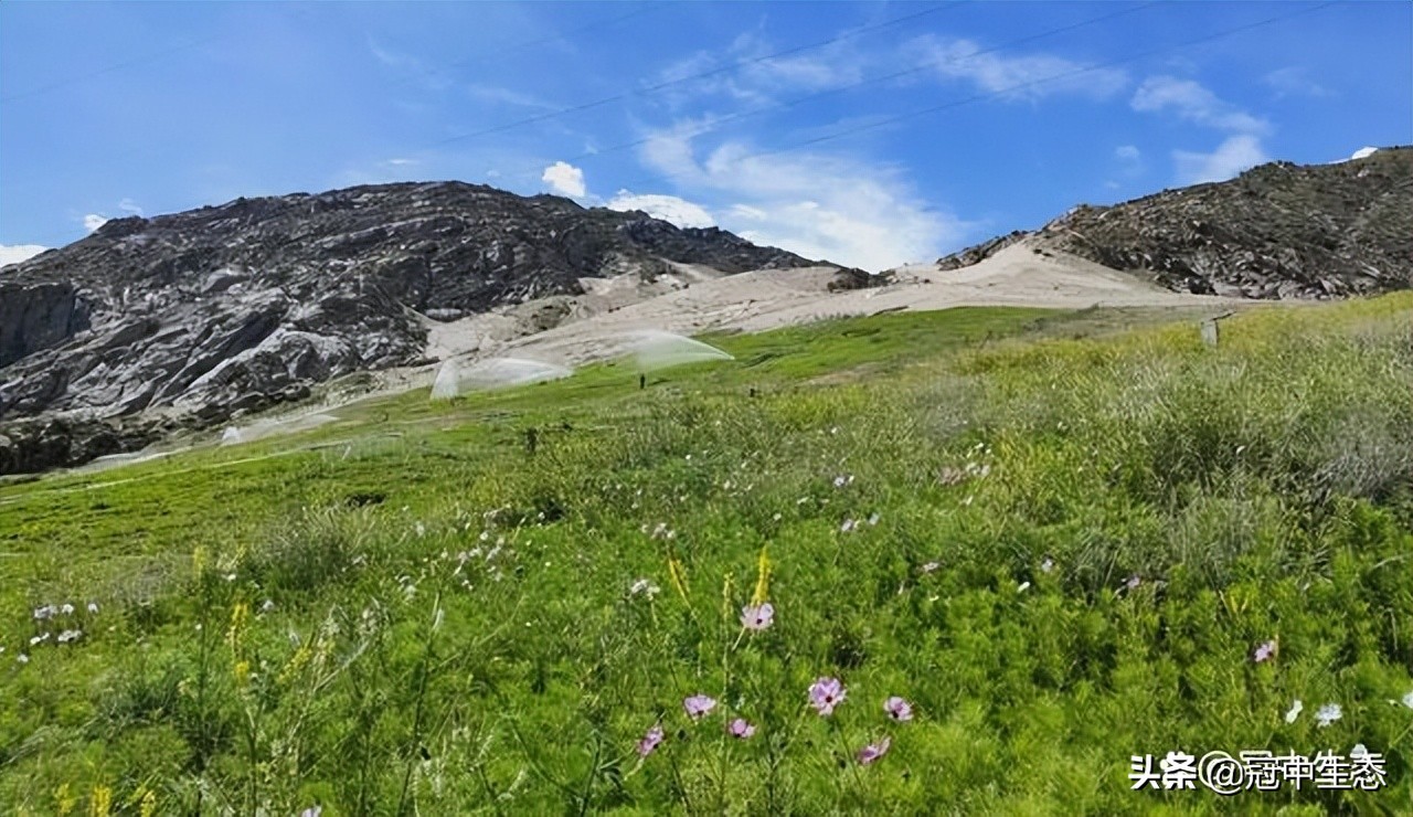 冠中生态｜揭开“优粒”土壤的神秘面纱