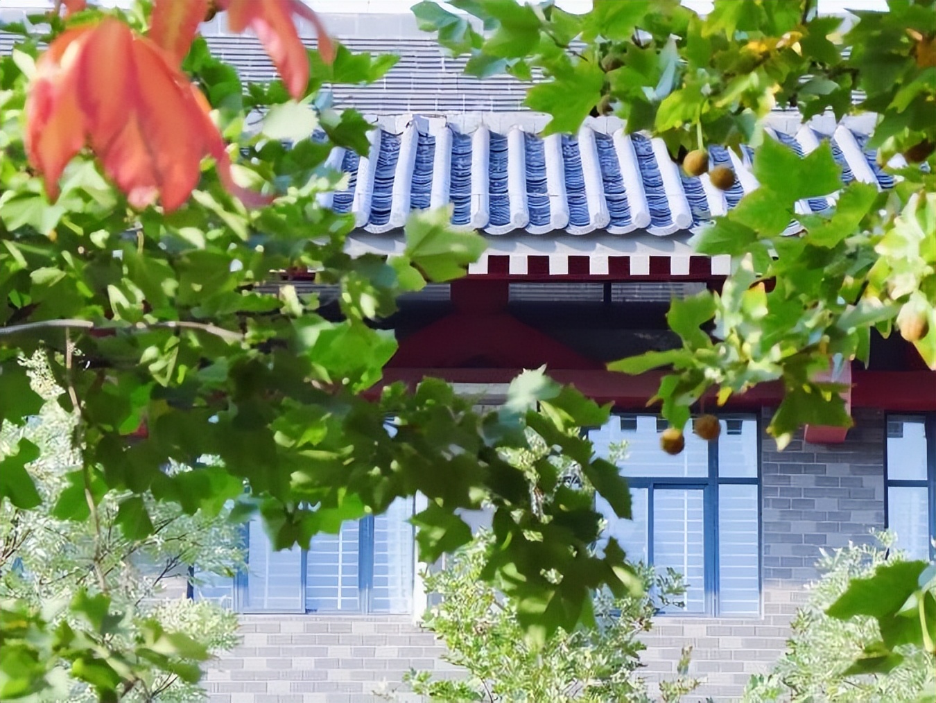 神仙宿舍！陕西同寝室3名女生学霸，手握国家大奖，集体读研深造