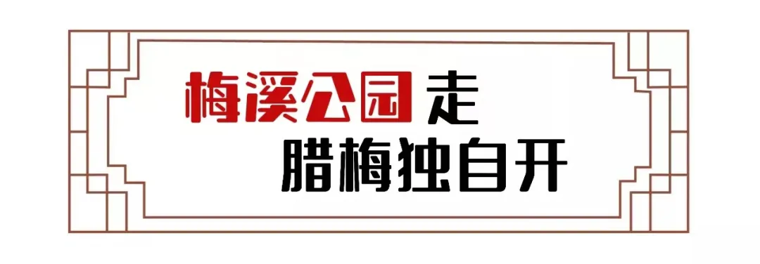 2022年的第一场花事，走，赏梅去