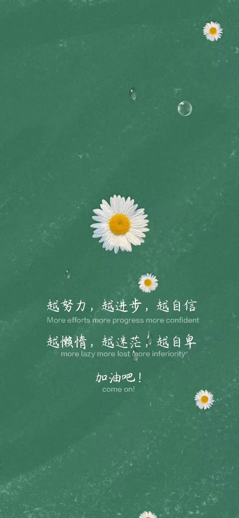 Iphone动态壁纸怎么弄 苹果设置自己的动态壁纸 万网时代