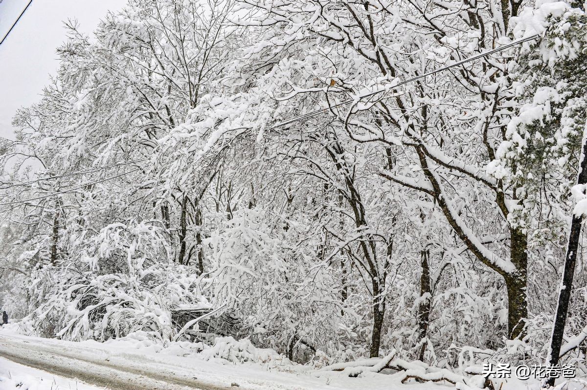 驾唐追逐2022年的第一场冬雪