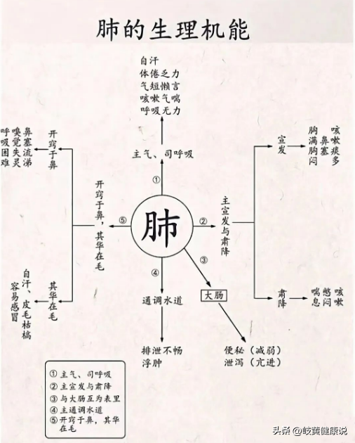 五脏中医知识,不会的朋友收藏好!