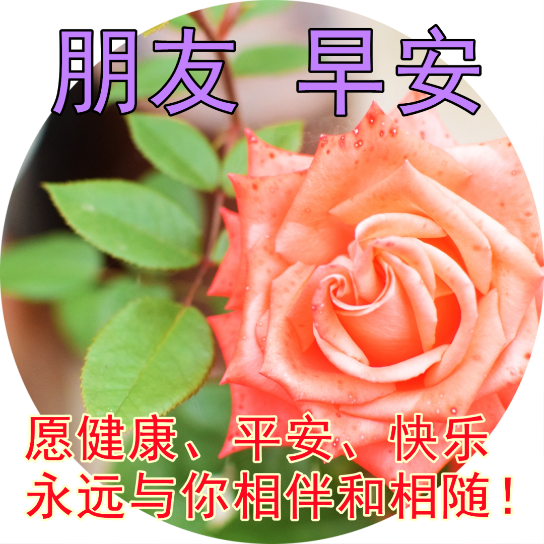 3月21日群发简短祝福语精选，微信群发快乐早安表情动态表情图片