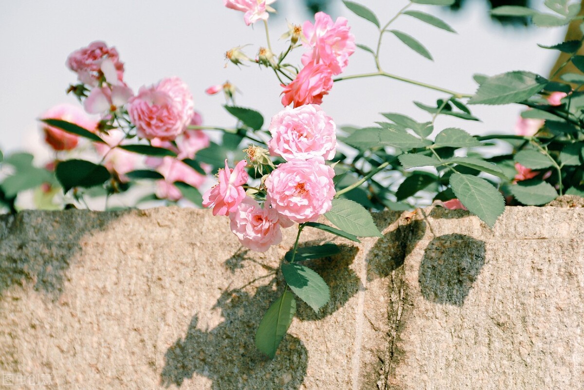 2022年三伏天热不热？按老祖宗说法，四月初十“穷日”这天有答案