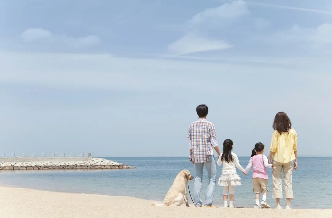 自动删除多余的包(一个家庭停止内耗,从三次放下开始)