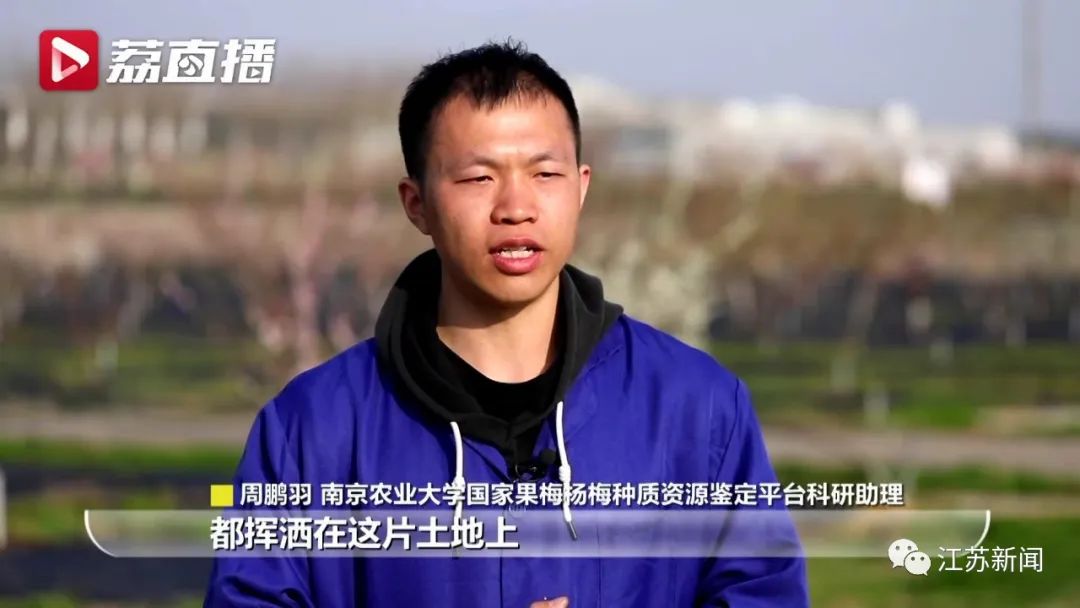 20年坚守三代人奋斗，这群&ldquo;最懂梅花的人&rdquo;，终于开出最美的花