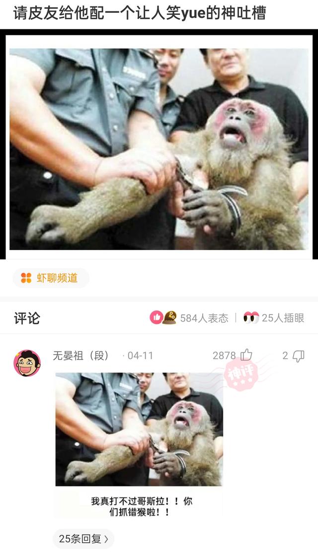 “没有买卖，就没有伤害！”让我以后怎么正视巧克力？哈哈哈
