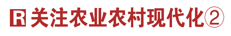 人民日报点赞东营