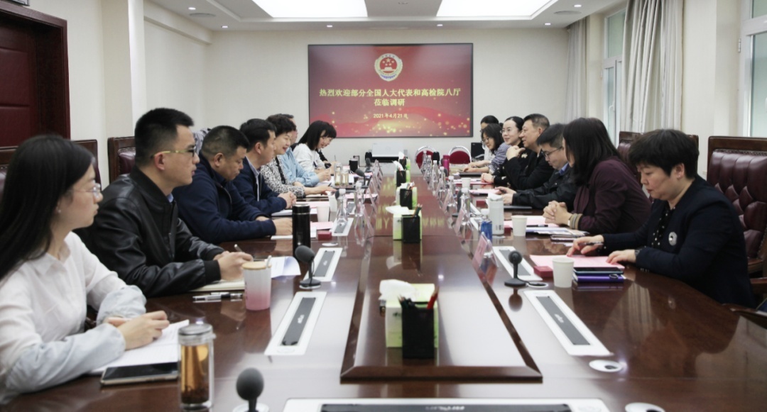 守护公益：建议衔接转化，监督攥指成拳