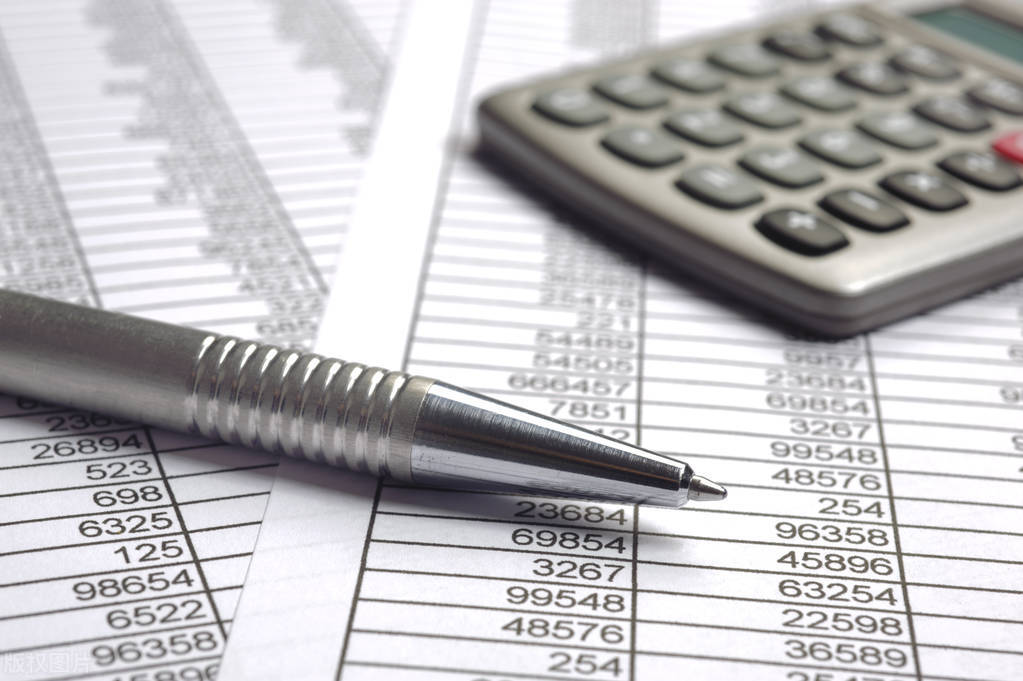 电子税务局操作--民间非营利组织会计制度财务报表申报