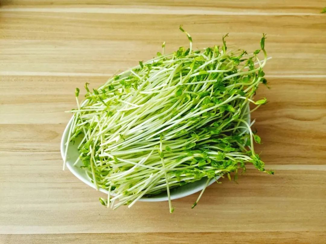 圖片[9]-夏天吃豆勝過(guò)吃肉 常吃“3豆” 營(yíng)養(yǎng)豐富身體好-起舞食譜網(wǎng)