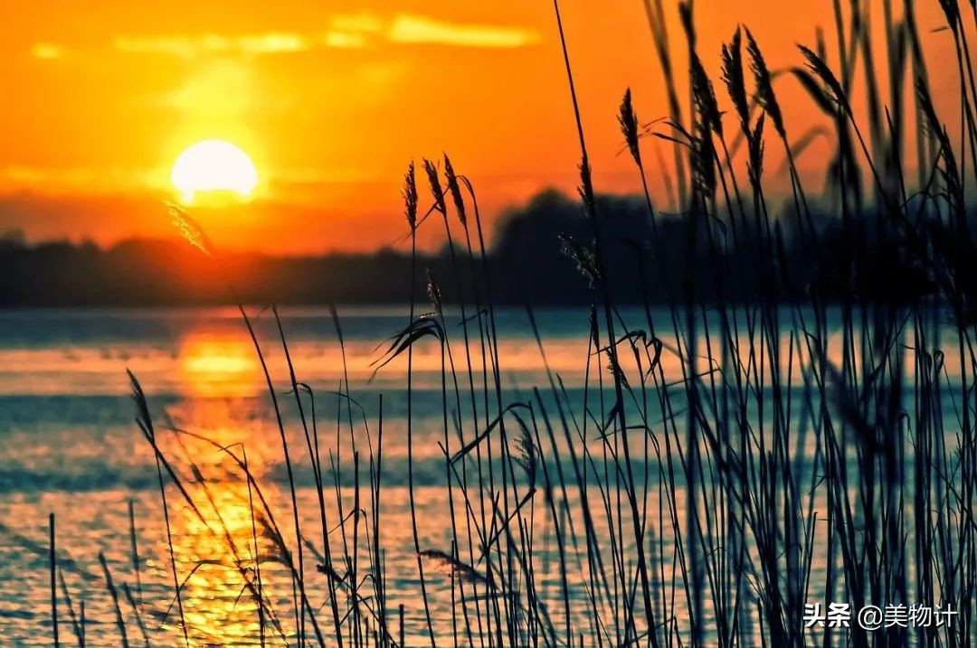 疫情占了三年"的热议话题,心中顿生五味杂陈,原来,时光的脚步从未停歇