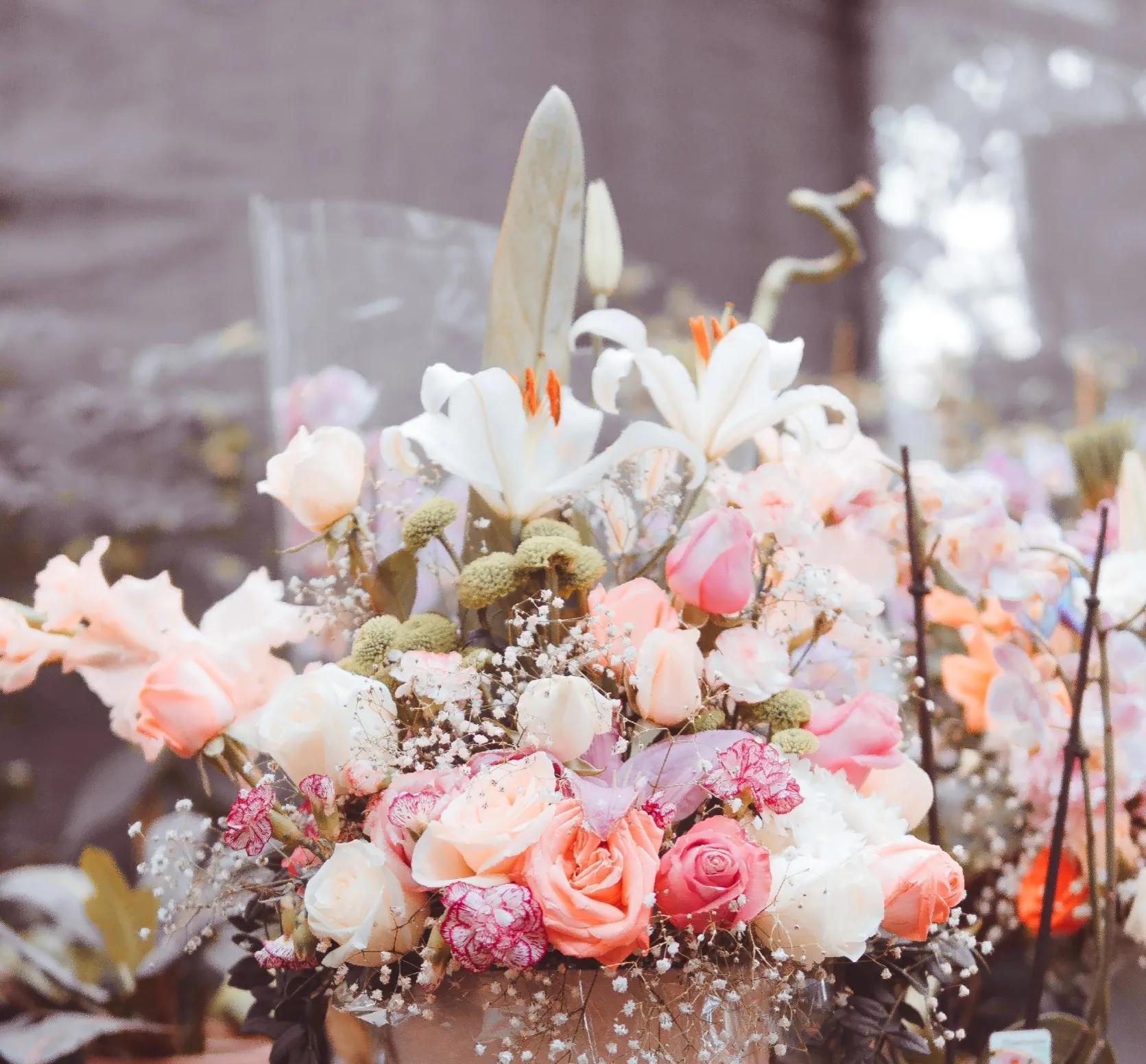 强强推理纯爱《空白罪状》，衣冠楚楚法官×混混样律师，剧情精彩