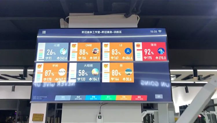 斯迈健身工作室成为IFBB职业和IBFA双项国际认证体系授权培训基地