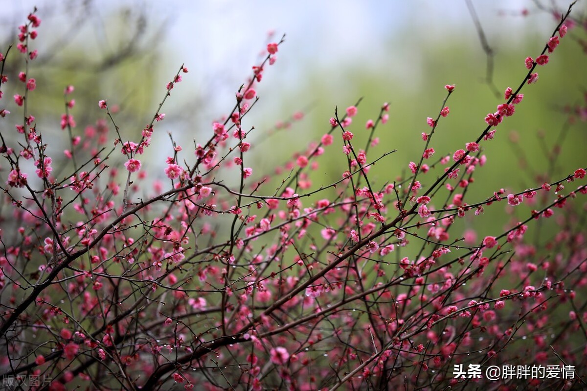 时光不会被辜负，勿忘初心；好好爱自己，不浪费生命，不亏欠他人