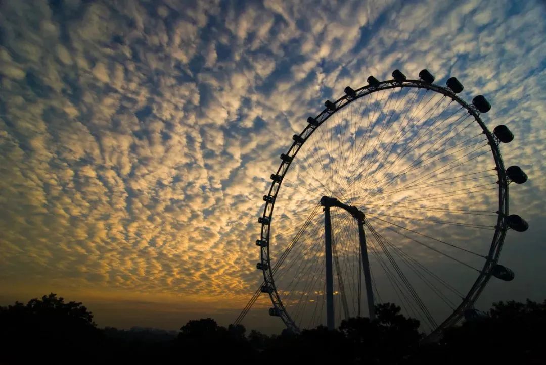 新加坡旅游景点推荐（123个又美又好玩的宝藏景区!）-第27张图片