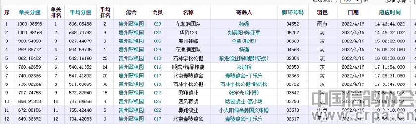 信鸽世界杯有几个(2022国际鸽联“世界杯”信鸽职业联赛—贵州翠枫园站第二关完赛)