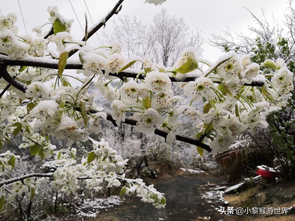 安徽春节“自驾游”No.1，挑战大别山主峰，泡温泉，尝美食