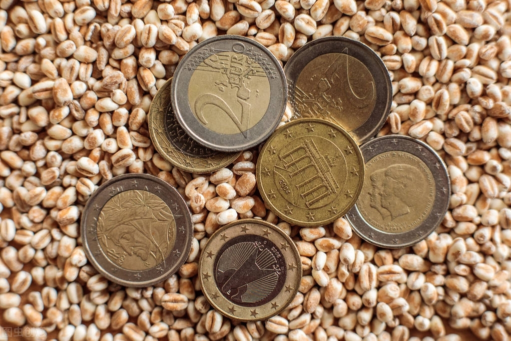 周口小麦价格今日多少钱一斤（周口2022小麦价格）