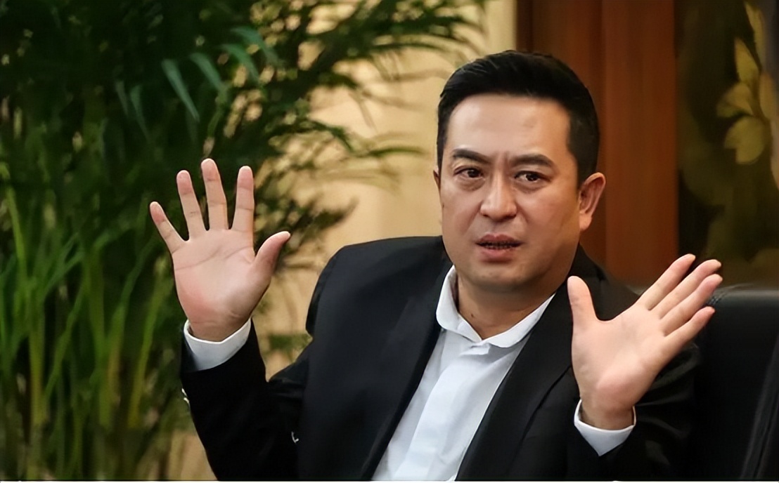 2004年,张嘉译迎来了《国家使命》这部剧.