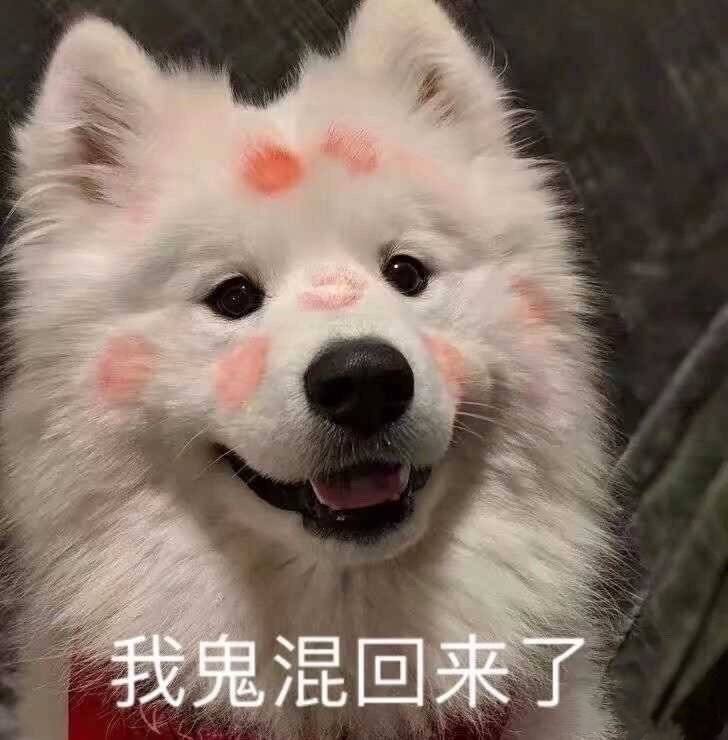 ô㣨ô ѧˣ-9ͼƬ-Ʒ